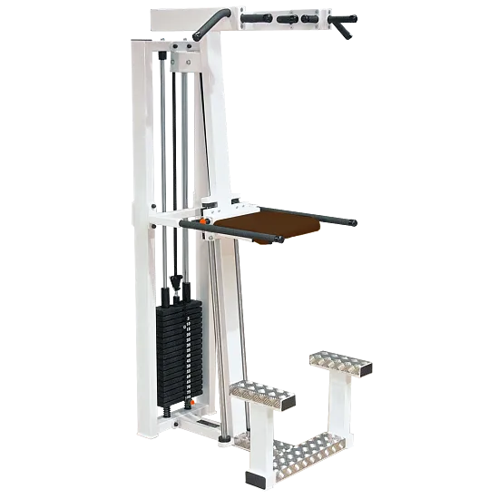 Klimmzug- & Dipstation "SQ"