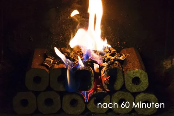 PINI KAY Holzbriketts aus Buchenholz – Bild 3