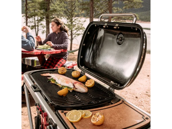 Weber Camping-Gasgrill Traveler mit 1 Brenner und Rollwagen Schwarz – Bild 14