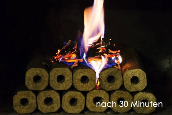 PINI KAY Premium Holzbriketts aus Buchenholz, 96 x 10kg Briketts, 960kg Palette – Bild 10