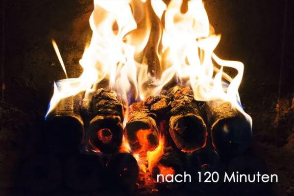 PINI KAY Premium Holzbriketts aus Buchenholz, 96 x 10kg Briketts, 960kg Palette – Bild 9