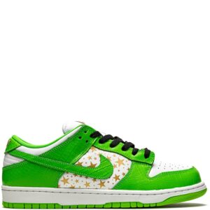 SB Dunk Low Sneakers
